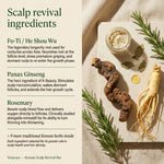 Infographic listing He Shou Wu, Panax Ginseng, and Rosemary as key ingredients of the Scalp Revival Bar